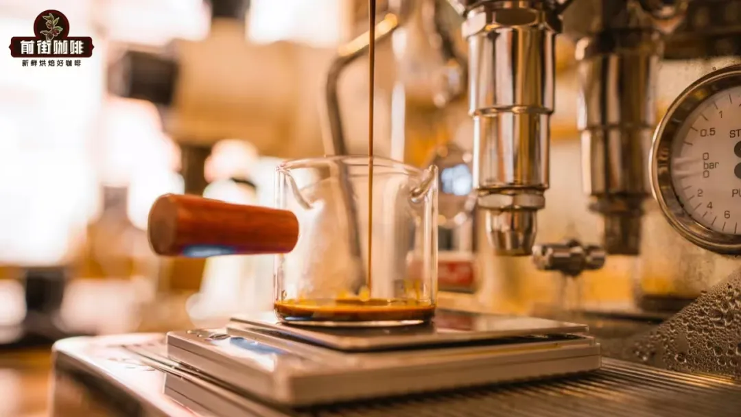 Complete Guide to Coffee Terminology: Common Nicknames for Three Major Varieties and Professional English Abbreviations