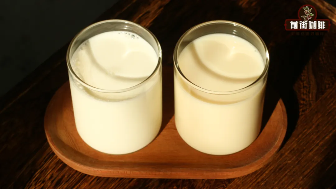 Soy Latte Tested: A New Plant-Based Coffee Option – Full Analysis of Flavor & Homemade Techniques