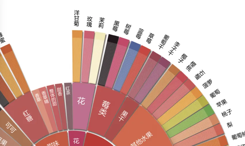 Analysis of Berry Flavors in Pour Over Coffee & Recommended Bean List | Flavor Characteristics of Single-Origin Beans & Brewing Parameter Guide