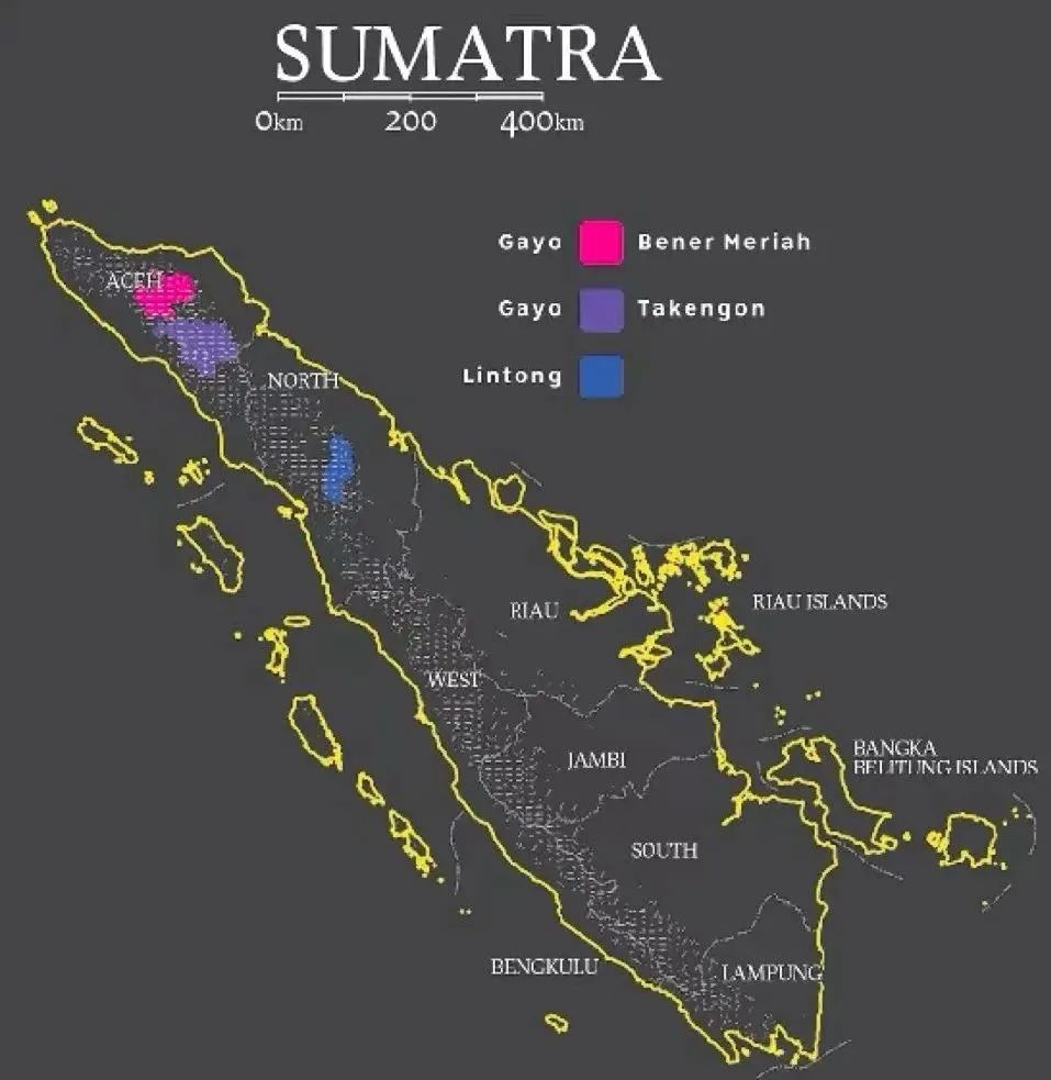 Where does the herbal aroma of Sumatra Mandheling come from? An in-depth analysis of the flavor secrets of the Lintong region