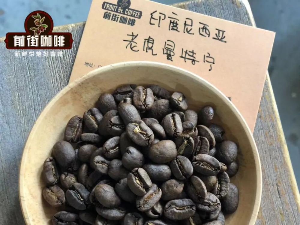 A Complete Guide to the Flavor Profile and Pour Over Brewing Techniques of Indonesian Sumatra Tiger Mandheling G1