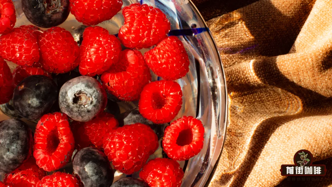 Analysis of Berry Flavors in Pour Over Coffee & Recommended Bean List | Flavor Characteristics of Single-Origin Beans & Brewing Parameter Guide