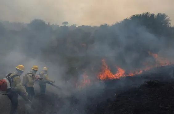 Heavy rains devastate Brazil's seven major coffee regions, putting new season output and futures prices under pressure