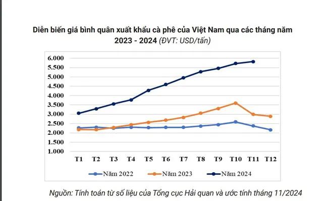 The Challenges and Trends Behind Vietnam’s Record Coffee Exports and Soaring Prices