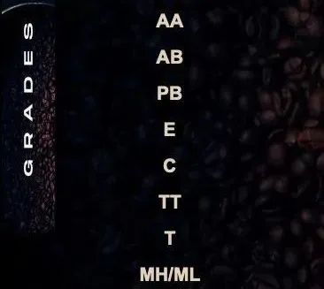How to distinguish Kenya AA from AA TOP? A comprehensive guide to the flavors and grades of K72 washed beans from the Thika region
