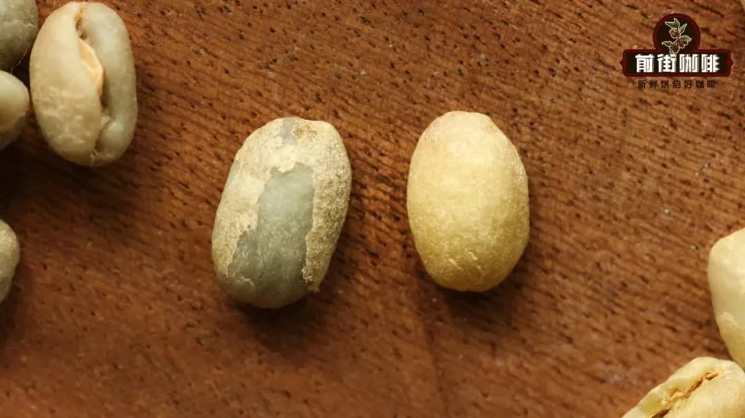 In-depth Analysis of the Differences Between Washed and Natural Coffee: Causes of Silver Skin Residue and Techniques for Handling White Fluffy Residues