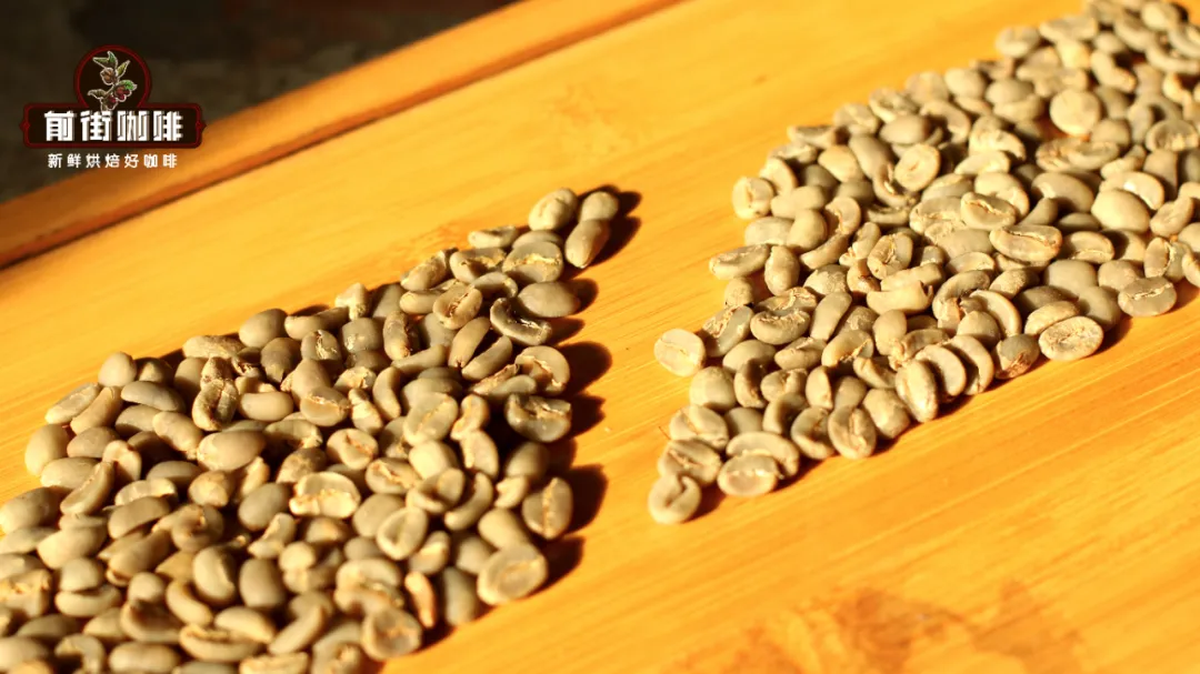 How to Choose Mandheling Coffee? A Complete Guide to G1 Grade, Golden Mandheling, and Flavor Profiles
