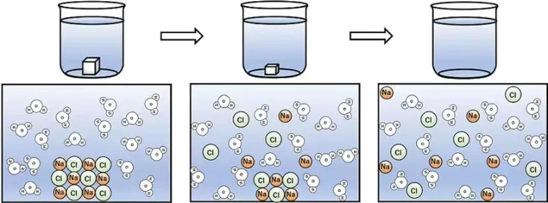 Analysis of Circular Pouring Techniques in Pour Over Coffee: How to Optimize Extraction Flavor Through Water Flow Path