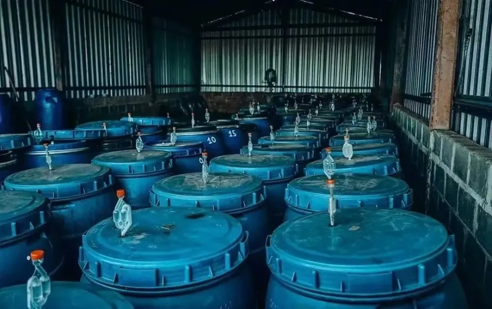The Big Reveal of Specialty Coffee Processing Methods: How Sun-Drying, Washing, and Anaerobic Fermentation Affect Flavor?