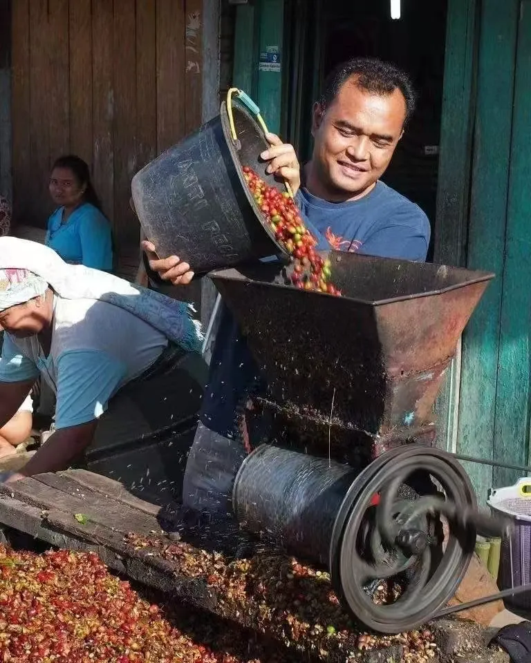 The Big Reveal of Specialty Coffee Processing Methods: How Sun-Drying, Washing, and Anaerobic Fermentation Affect Flavor?