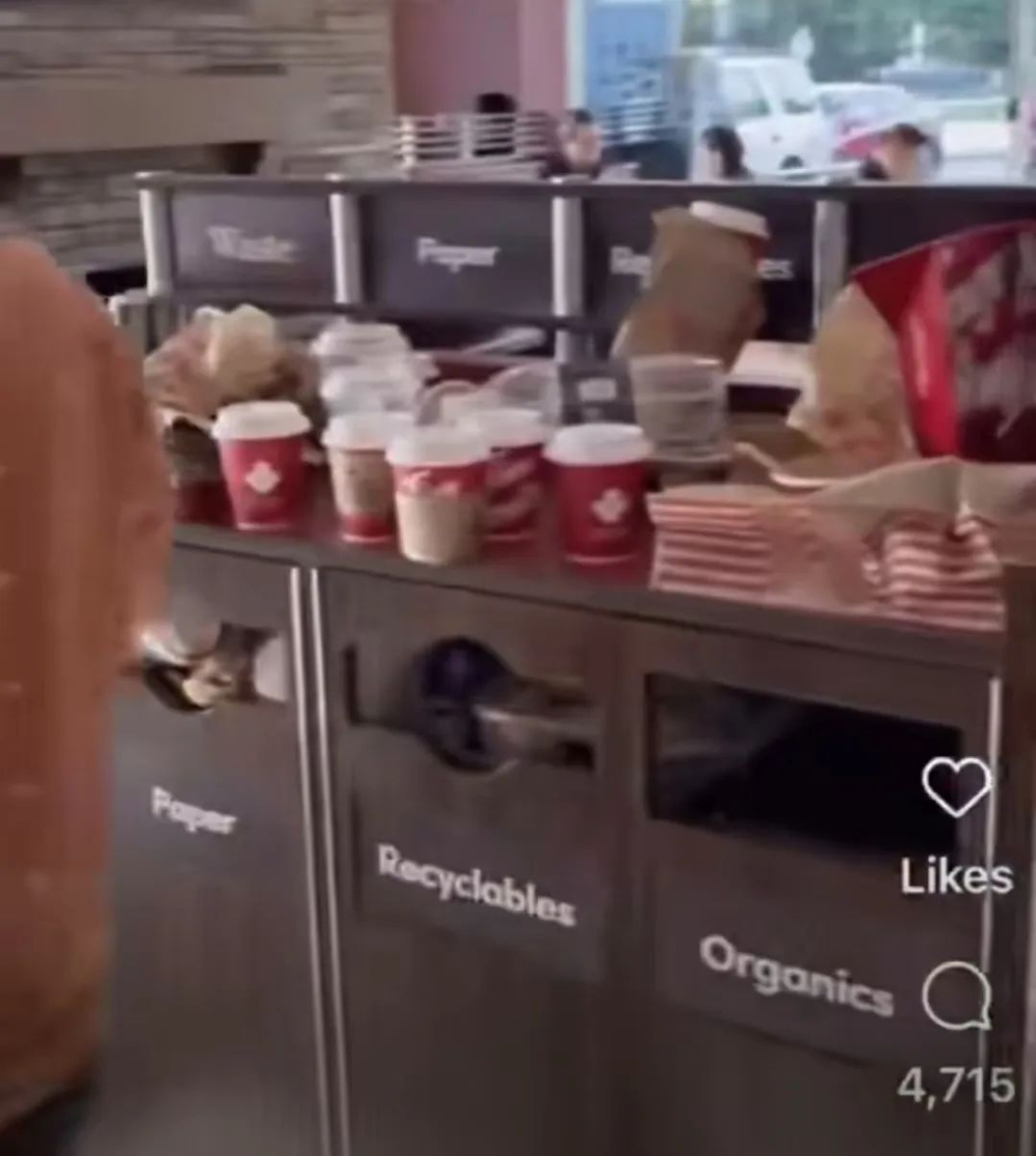 Frequent hygiene issues at Toronto Tims outlets spark outrage — would you still drink there after 360K people watched?