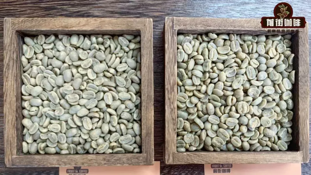 A comparison of the flavors of Blue Mountain and Papua New Guinea coffee beans | What is 