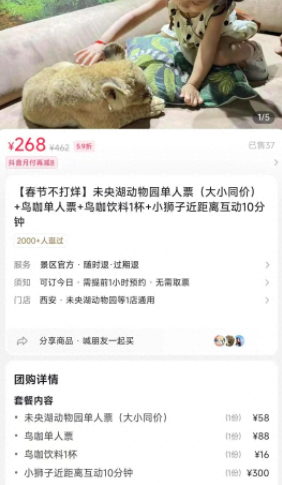 The lion-petting experience at Xi'an Zoo's café sparks controversy, with wildlife protection authorities investigating the truth