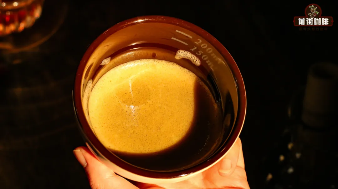 A Complete Guide to Matcha Brewing Techniques | How to Extract Coffee-like Flavors Using the Whisking Method
