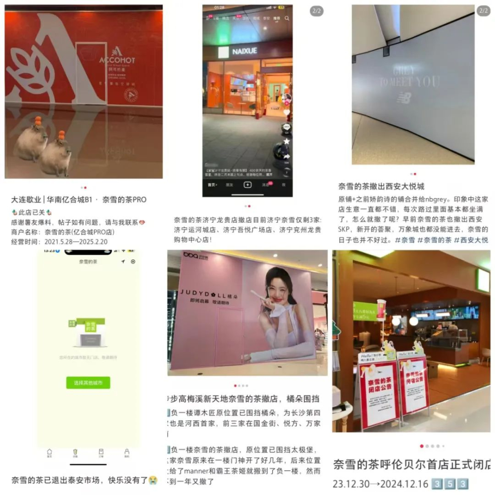 Analysis of Nayuki’s Four-Year $1.5 Billion Loss and Store Closures: Shifts in New Tea Drink Market Trends and Survival Challenges