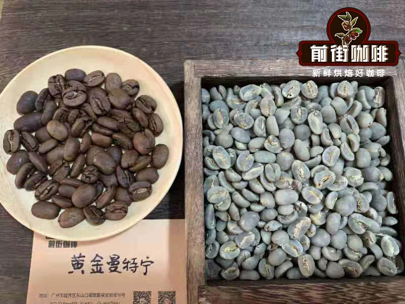 Pour Over Coffee Flavor Analysis: Differences Between Medium-Light and Dark Roast Beans and Optimal Brewing Parameters