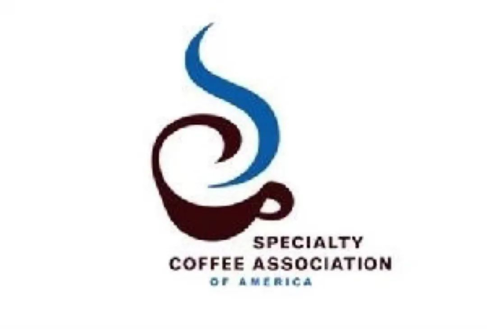 How to Determine the Coffee-to-Water Ratio for Pour Over? An Analysis of the SCA Golden Cup Standard and Debunking Extraction Myths