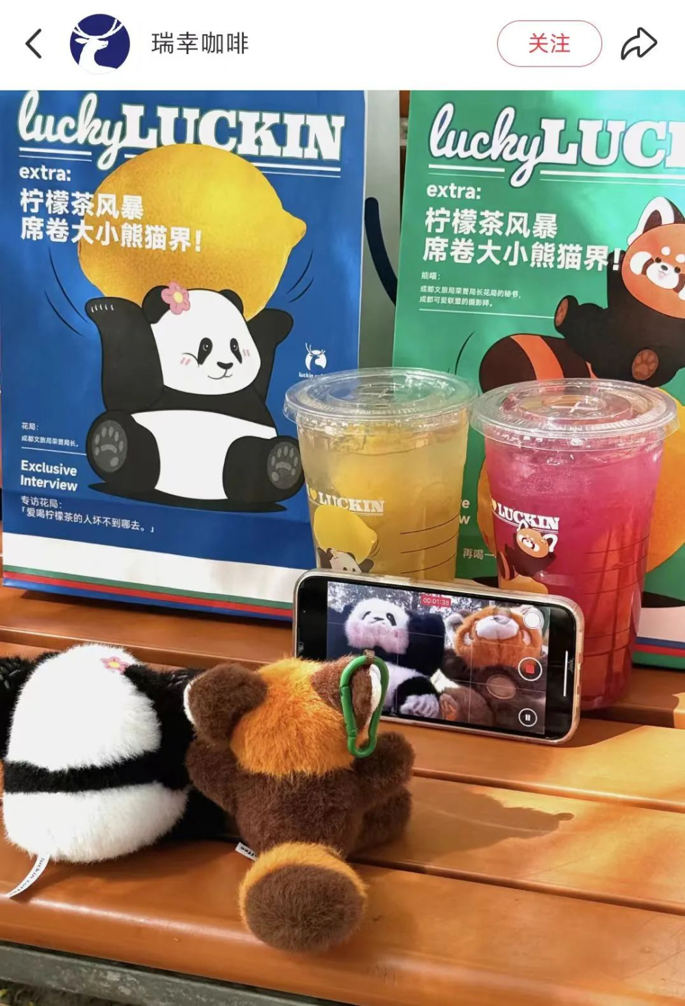 Luckin Coffee × Chengdu Culture & Tourism Panda Collaboration Backfires!Analysis of Quality Issues with the Hua Hua Plush Toy