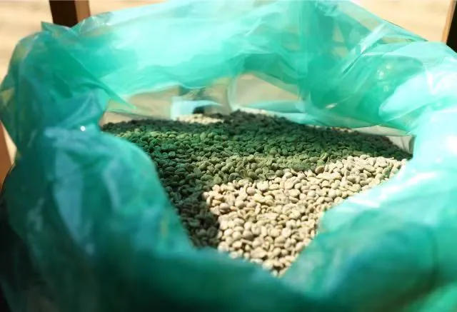 Beginner's Guide to Ethiopia's Simon Processing Method: How Bag Fermentation Transforms Coffee Flavor?
