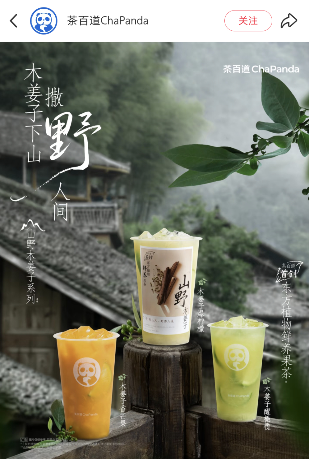 Tea Bai Dao’s Litsea Cubeba Drink Giveaway Controversy: Shrinking Miniature Stick Accessories Spark Heated Discussion