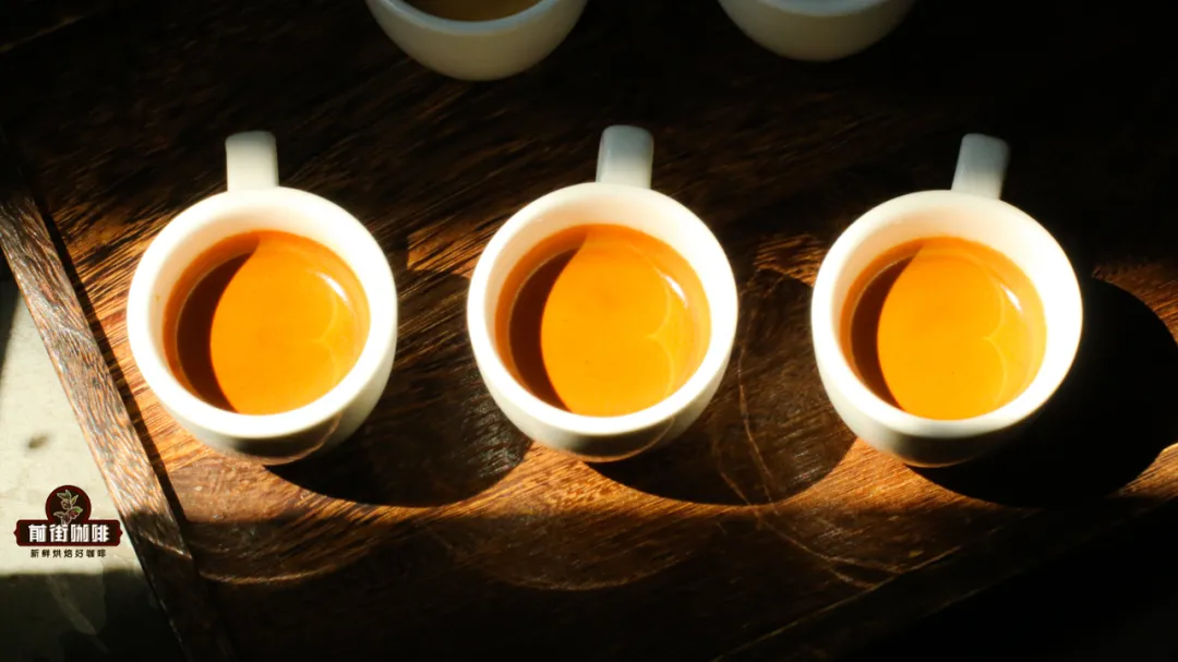 Practical Test on Fine-Tuning Espresso Dose: How Does a 0.5g Difference Affect Extraction and Flavor?