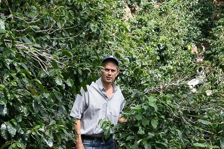 Panama Catuai Estate: How to Brew Sun-Dried Caturra? A Complete Guide to Flavor & Brewing Parameters