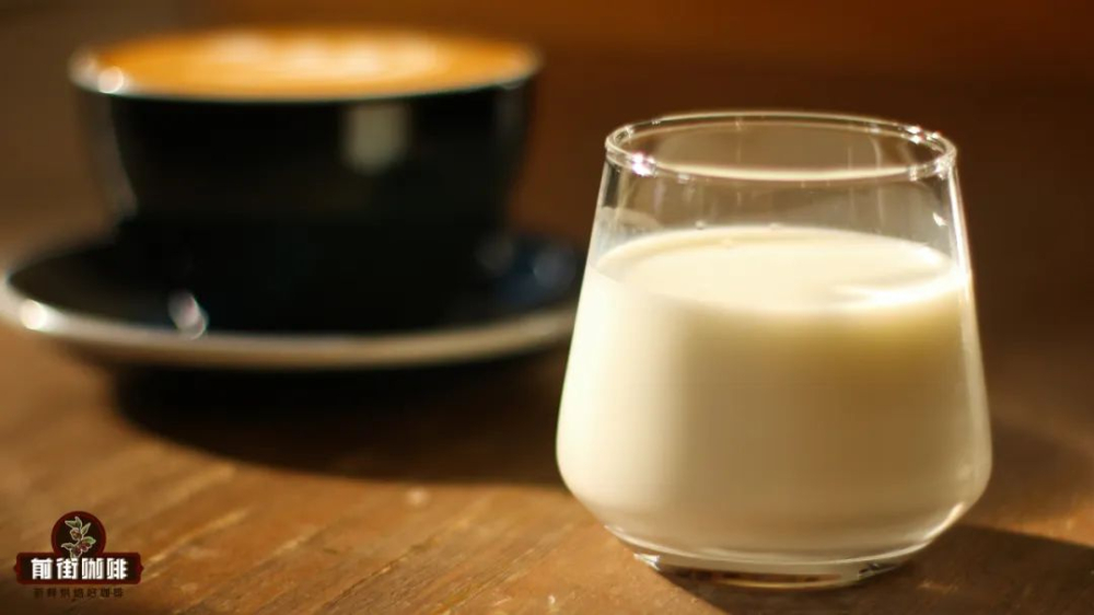 Green Tea Coffee DIY Guide: How Beginners Can Make a Matcha-Flavored Latte & Flavor Comparison
