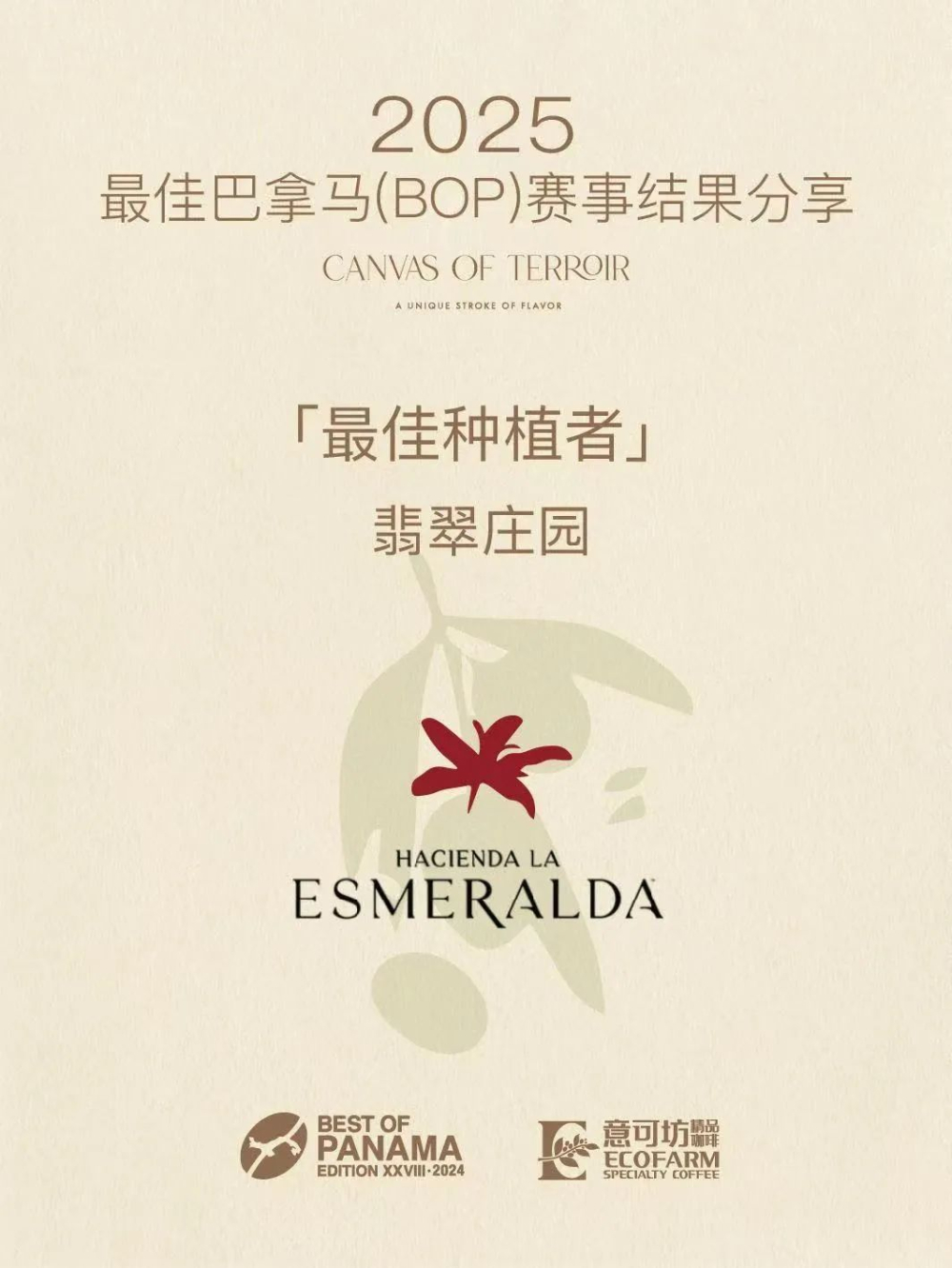 BOP Competition Results Announced: Finca El Bosque Wins Three Championships, Geisha Auction Price Breaks the $10,000 Barrier