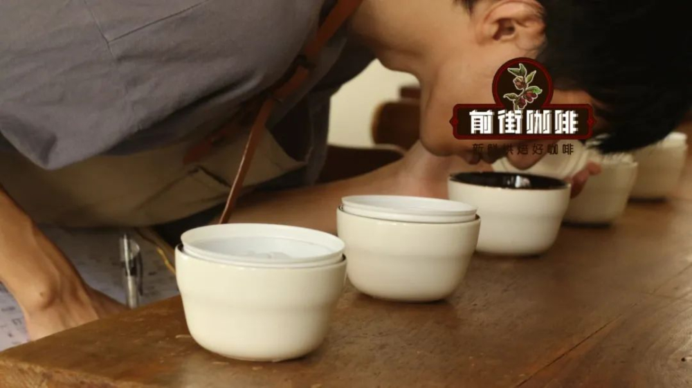 A Complete Guide to Pour Over Coffee Terminology: Master Everything from Brew Ratios to SOE Blends
