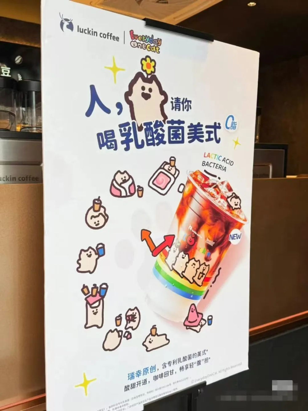 Can Lactic Acid Bacteria Americano Really Aid Digestion? A Real-World Test & Analysis of Luckin’s Collaborative Silly Cat Drink