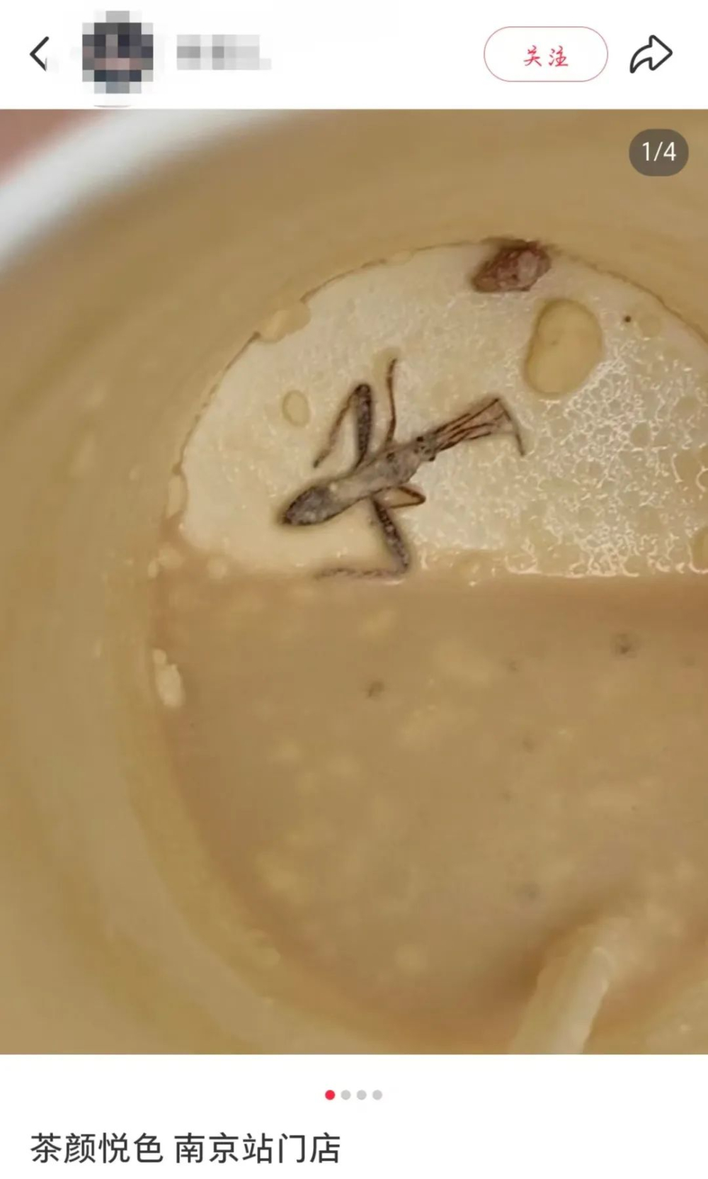 Tea Yan Yue Se's Yulan Latte: Bug Found at Bottom of Cup – Brand Response & Common Pest Prevention Measures