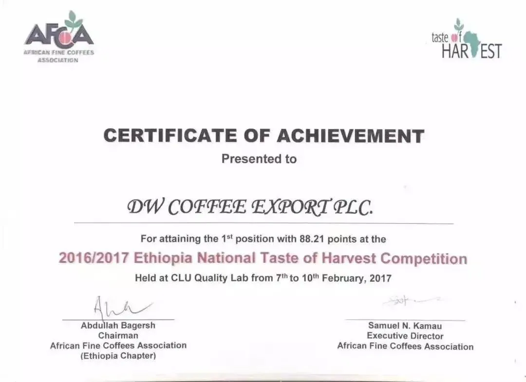 2024 Hua Kui X Flavor Review: Why Skip the 9.0? Analysis of the New Season Ethiopian Natural Bean Characteristics