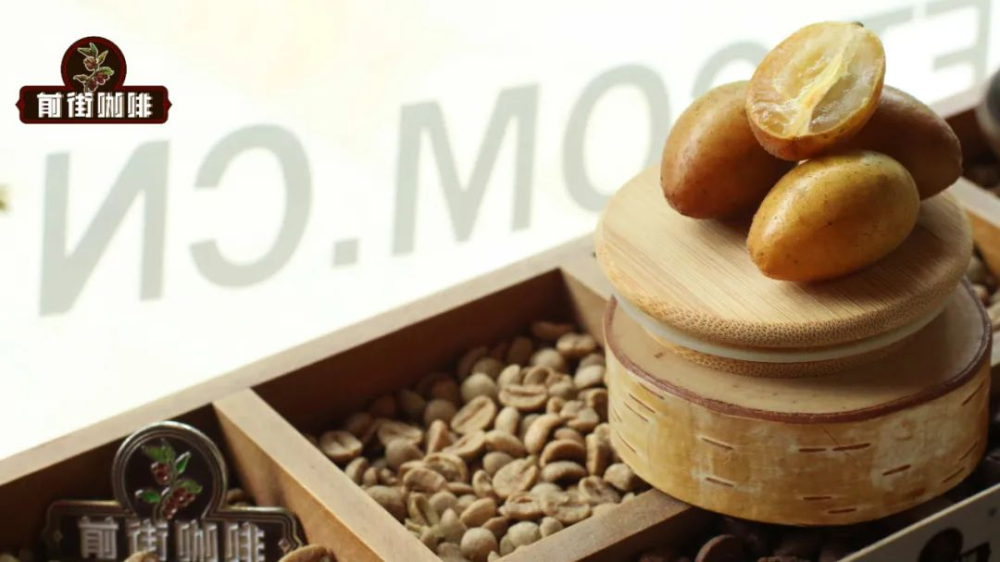 Complete Guide to 3 Ways to Make Yellow Skin Iced Americano: Sparkling, Jasmine & Plum No-Sugar Recipes