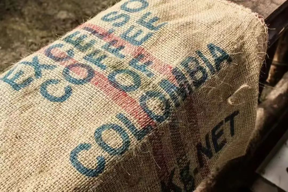 How are green coffee beans graded? Master the three major grading systems + Kenya’s special standards all in one go