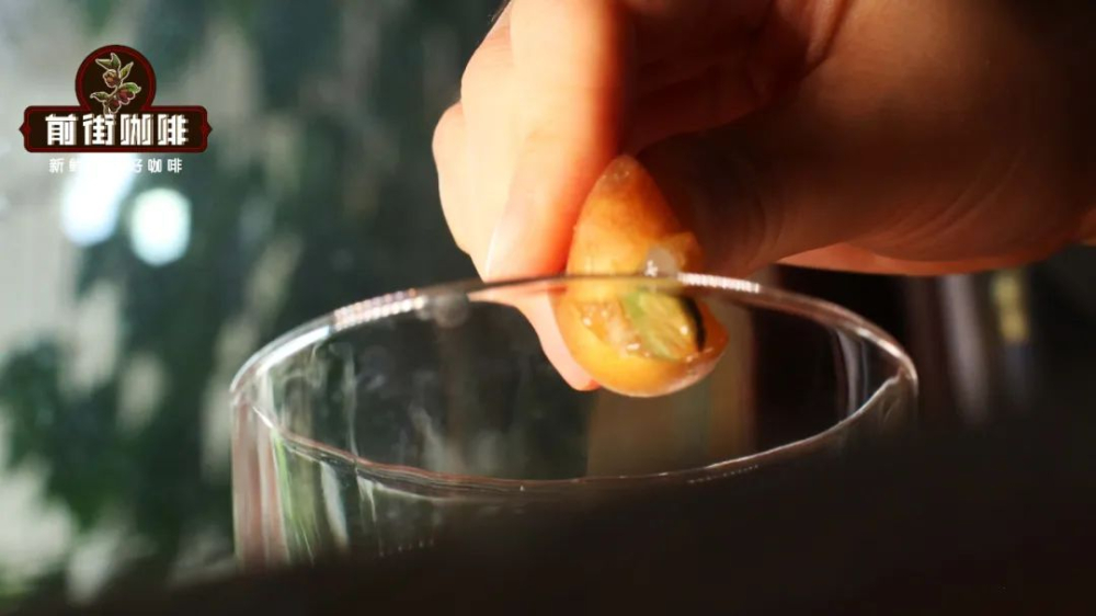 Complete Guide to 3 Ways to Make Yellow Skin Iced Americano: Sparkling, Jasmine & Plum No-Sugar Recipes