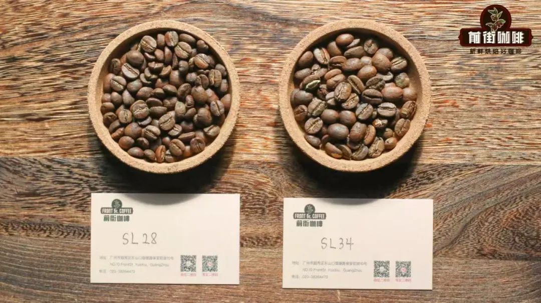How to Brew Kenyan Washed Coffee? Unveiling the Tomato-like Acidity Created by the SL28 Variety and K72 Processing