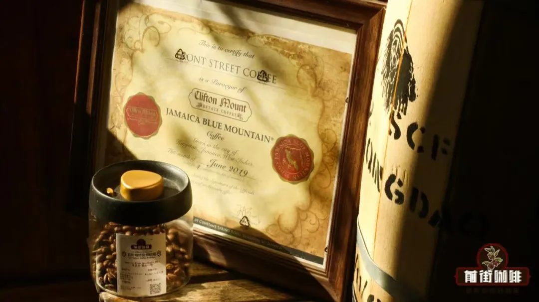The Mystery of Blue Mountain Coffee's Excellence: A Complete Guide to Its History, Grading, and Flavor | Recommended Pour Over Specialty Beans