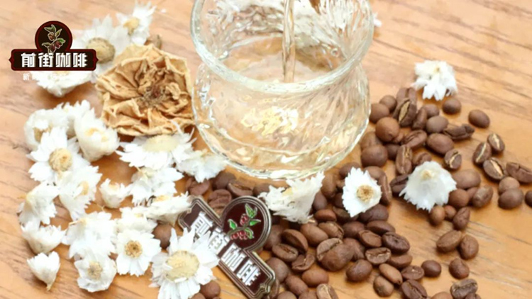 3 Ways to Make a Refreshing Summer Apple Specialty Americano | Complete Guide to Ratios & Flavor Pairings