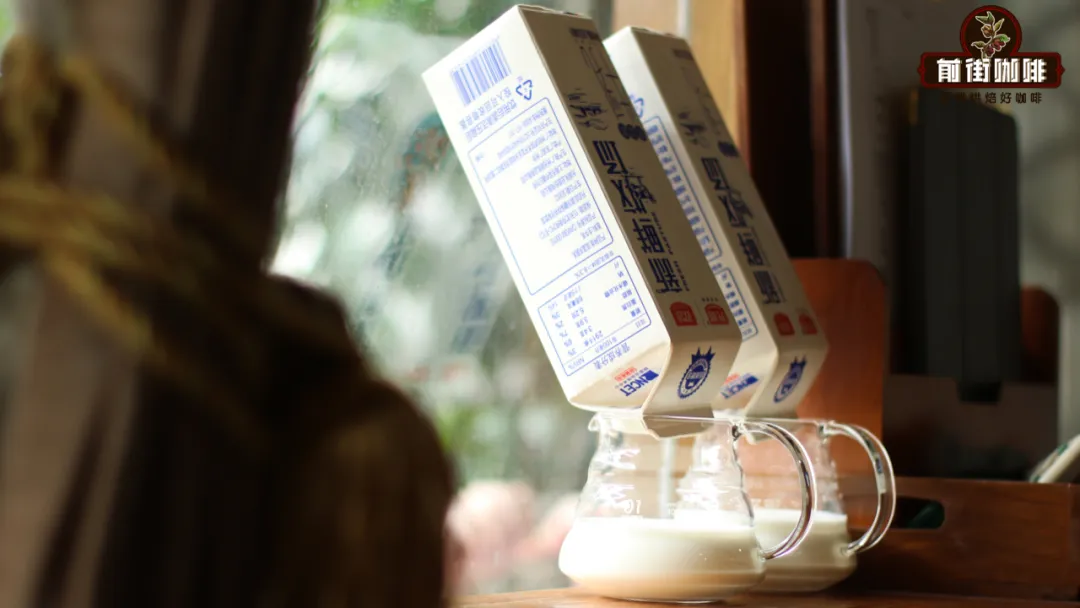 DIY Guide to IceBuck Pure Milk | Secret to Making High-Concentration Fresh Milk with the Freezing Method and Crafting Dirty Lattes
