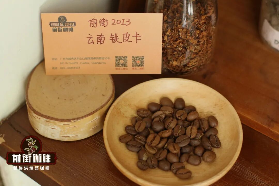 Analysis of Yunnan Catimor and Typica Coffee Beans | A Guide to Flavor Differences and Processing Method Choices