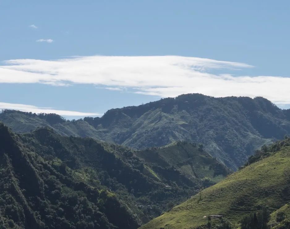 A Comprehensive Guide to Colombia's Specialty Coffee Regions | The Meaning of MAM Labeling and the Flavor Profile of Huila Washed Beans