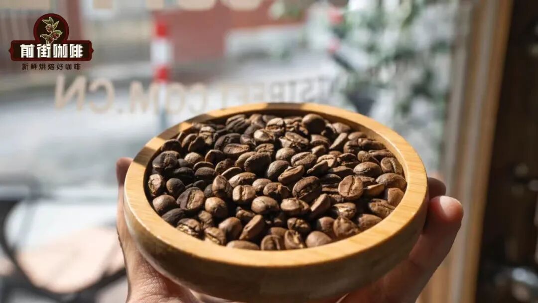 Analysis of Yunnan Catimor and Typica Coffee Beans | A Guide to Flavor Differences and Processing Method Choices