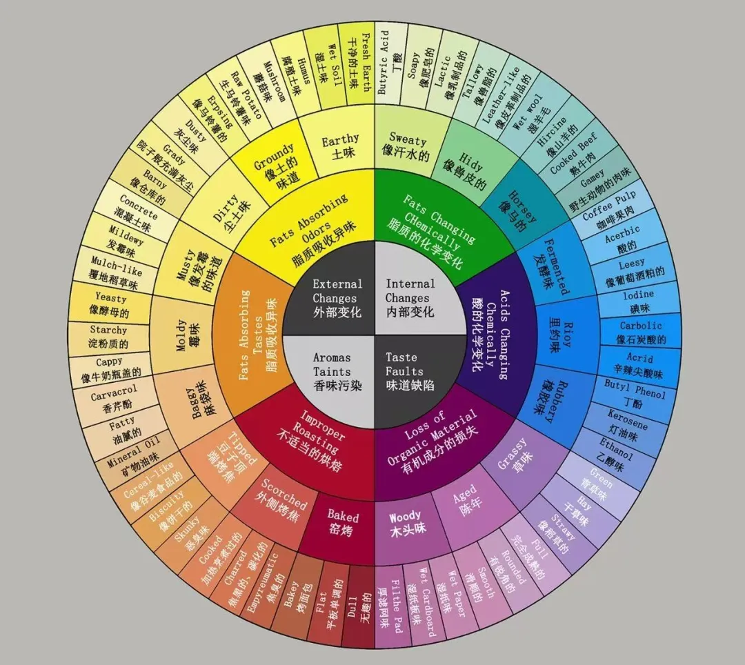 Analysis of Pour Over Coffee Cleanliness: A Complete Guide to Key Factors from Green Beans to Brewing
