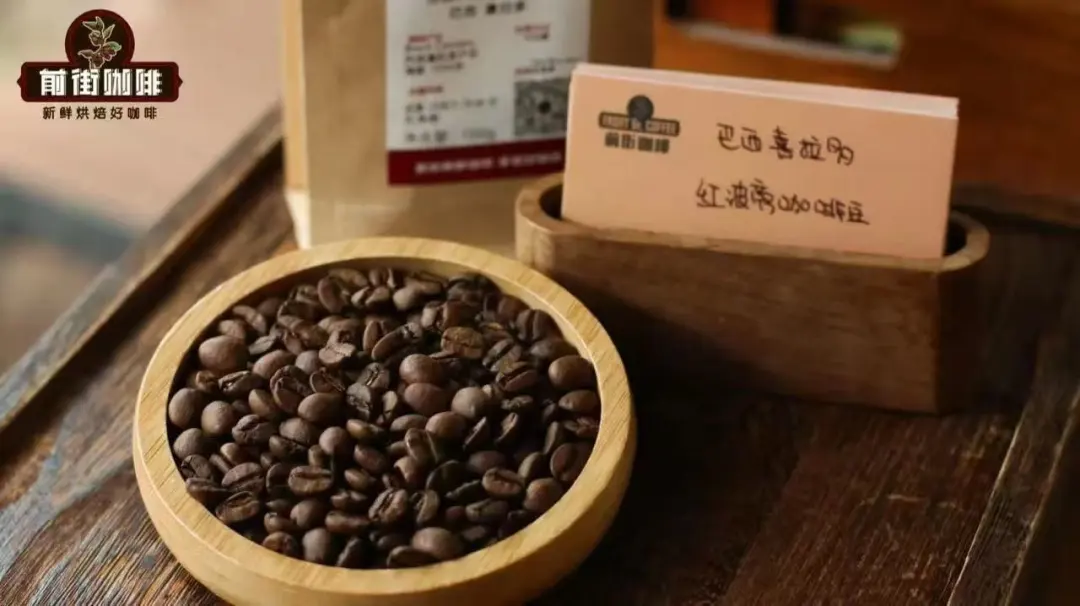 Red Bourbon vs Yellow Bourbon: A Complete Analysis of Origins, Cultivation, and Pour Over Flavor Differences