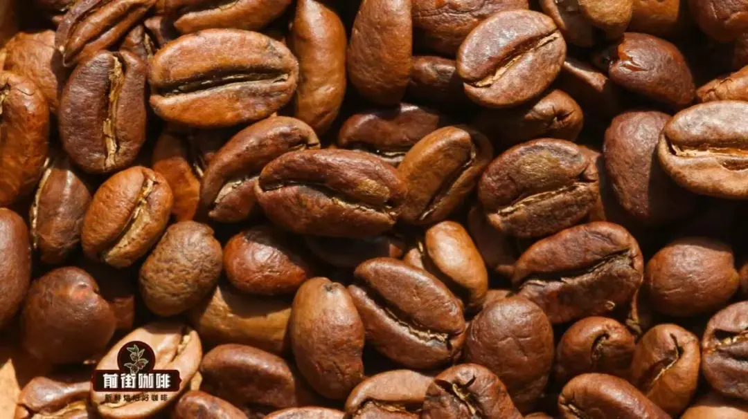 Analysis of Colombian División Line Geisha Beans | Champion Pour Over Recipe and Extraction Techniques