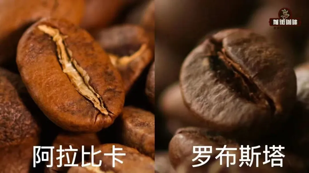 What is the daily safe caffeine intake? Pour over vs. espresso cup conversion guide