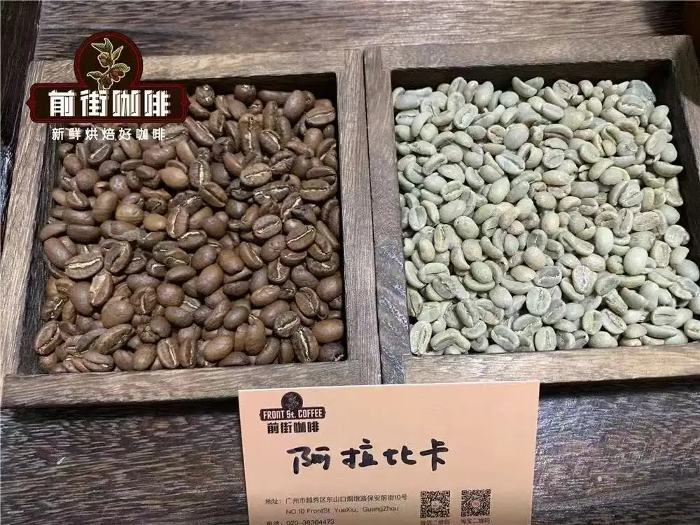 Robusta vs Arabica: A Complete Guide to Pour Over Parameters and Flavors Using 100% Robusta Beans