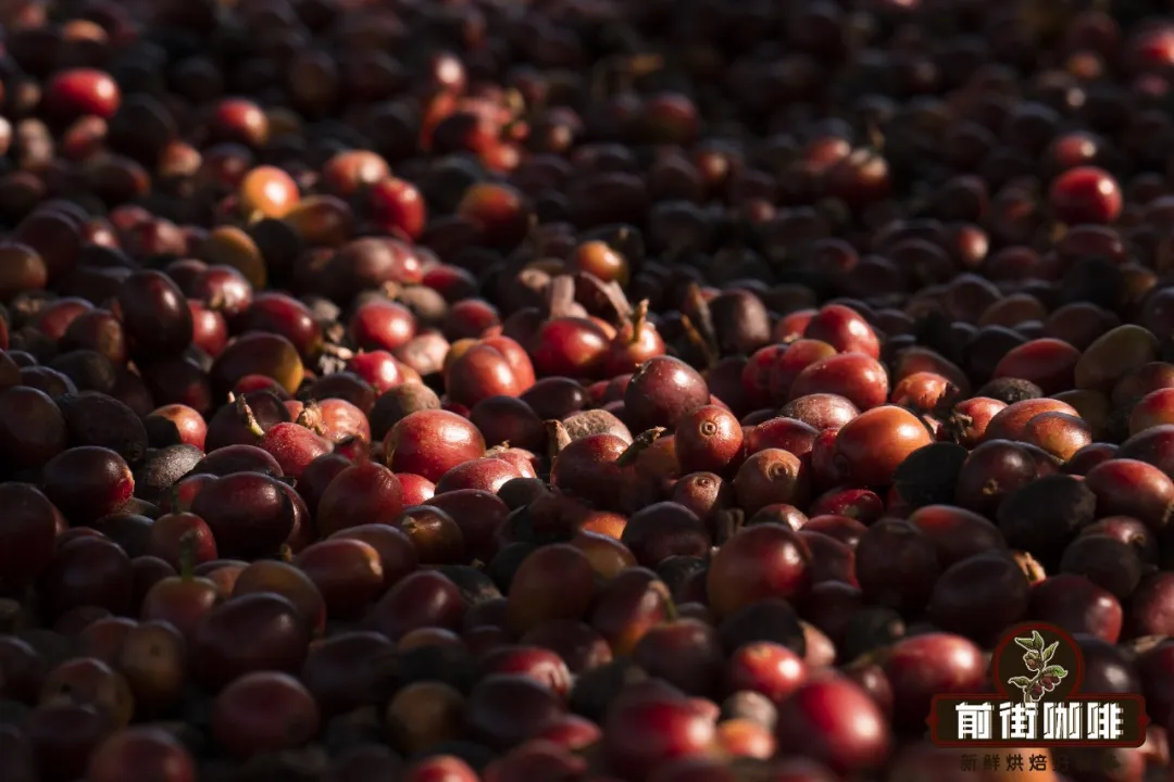 What’s the difference between natural and washed coffee? The actual impact of processing methods on flavor — an in-depth analysis