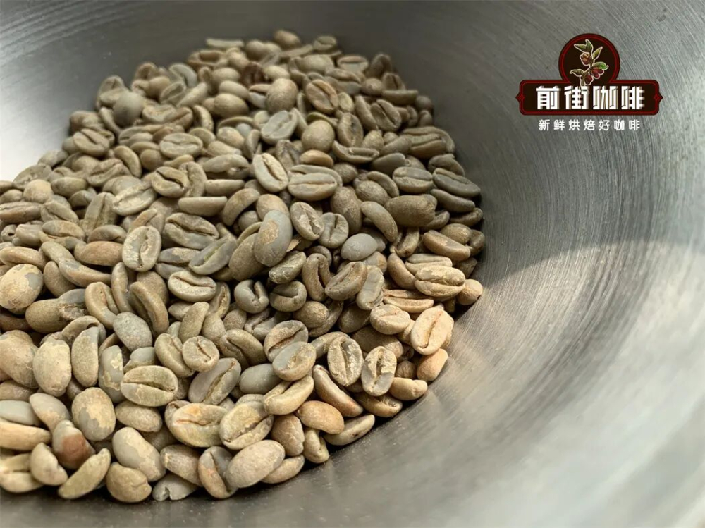 The Ultimate Guide to Geisha Coffee: Origins, Flavor Secrets, and High-Value Blends