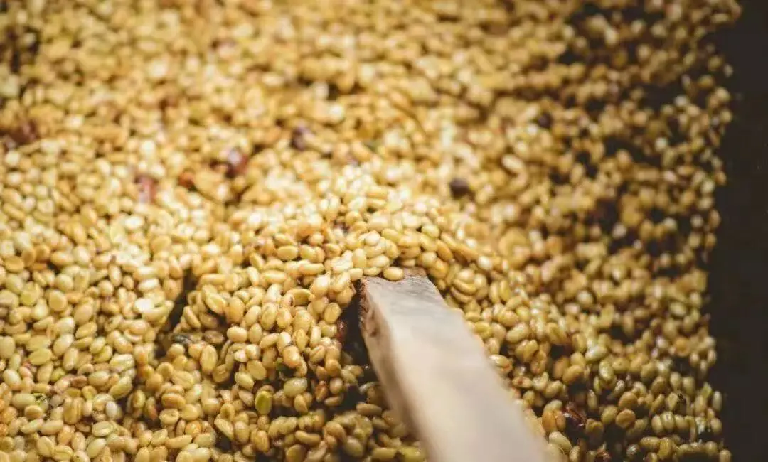 What’s the difference between natural and washed coffee? The actual impact of processing methods on flavor — an in-depth analysis